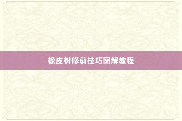 橡皮树修剪技巧图解教程