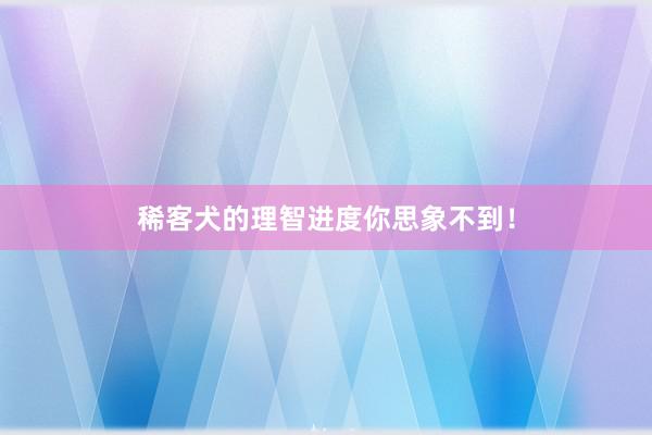 稀客犬的理智进度你思象不到！