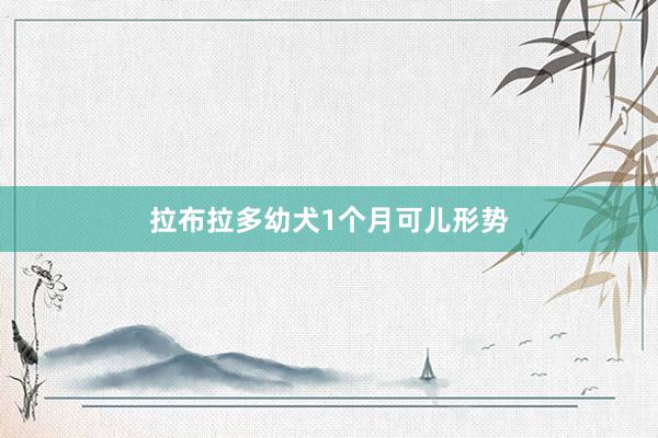 拉布拉多幼犬1个月可儿形势