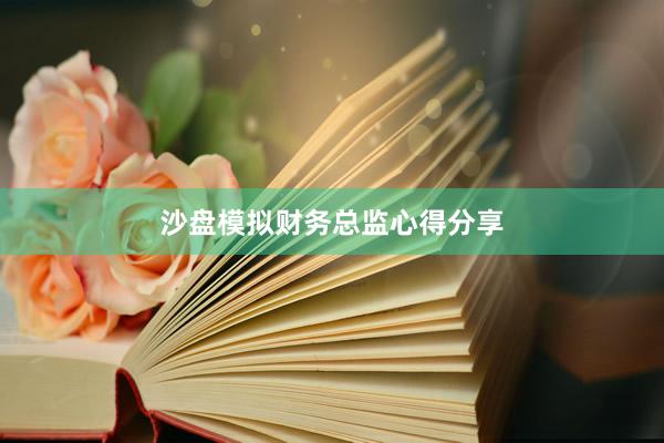 沙盘模拟财务总监心得分享